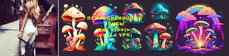 Псилоцибиновые грибы Magic Shrooms  Бавлы 